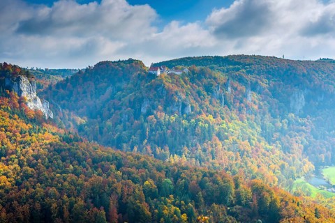 Wildenstein Castle
