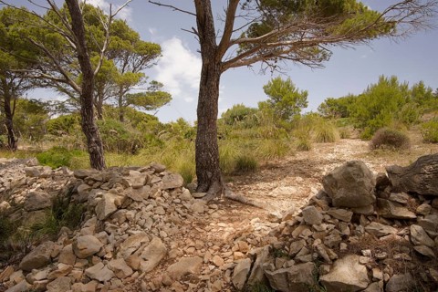 Cala Ratjada