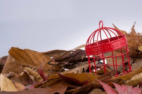 Little white bird house made of metal