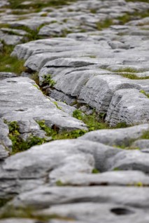 Barrows and gullies