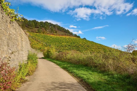 Path