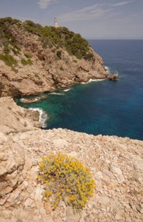 Cala Ratjada