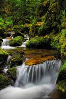Small waterfall of the Gottschlaegbach stream near Ottenhoefen in the Black Forest