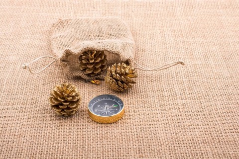 Pine cones out of sack on a canvas and a compass