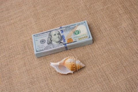 Sea shell placed on bundle of US dollar banknotes