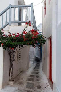 The white washed old town of Horta