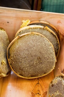 Sweet fresh honey in the sealed comb frame