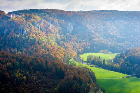 Wildenstein Castle