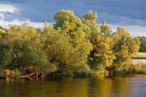 Autumn in the floodplain