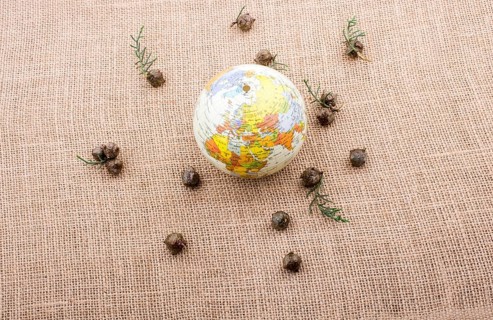 Globe is placed on canvas with cones around