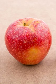 Back to school theme with a red apple