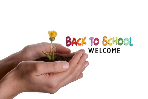Back to school wording as education