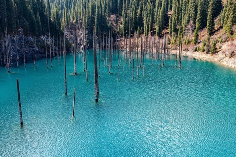 Aerial of the Kaindy lake with its dead trees