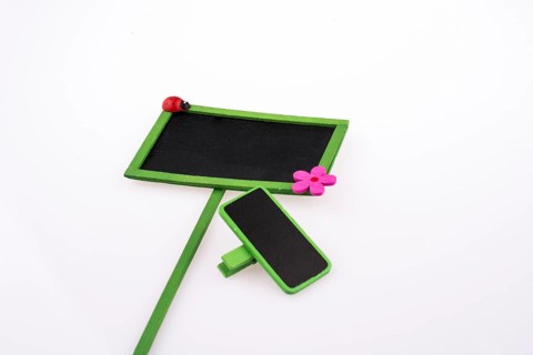 Green framed signboards with a flower and ladybug on a white background