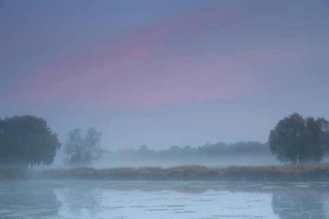 Autumn in the floodplain