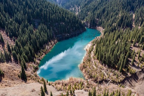 Aerial of the Kaindy lake with its dead trees