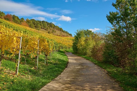 Path