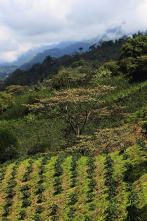 Republic of Colombia