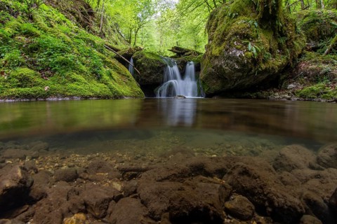 Underwater photograph of a waterfall in the UNESCO World Heritage Beech Forest in the Limestone Alps National Park