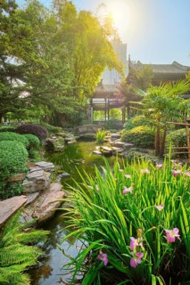 Chinese garden park in China