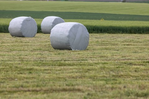 Hay bales in plastic