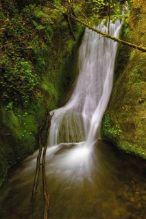 Edelfrauengrab waterfall of the Gottschlag stream in the Black Forest National Park near Ottenhoefen
