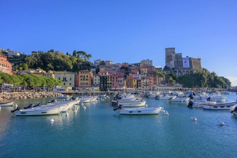 Castle and boats in the port of