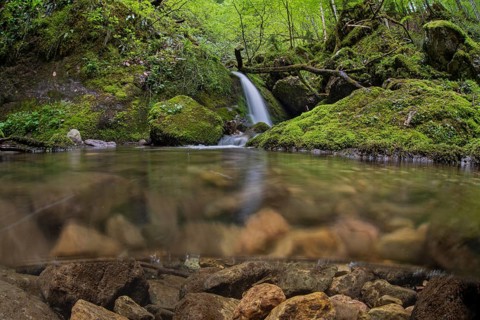 Underwater photograph of a waterfall in the UNESCO World Heritage Beech Forest in the Limestone Alps National Park