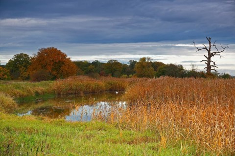 Autumn in the floodplain