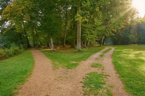 Park