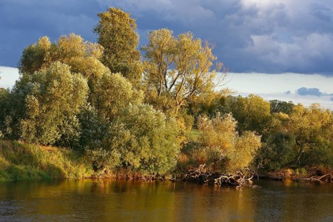 Autumn in the floodplain