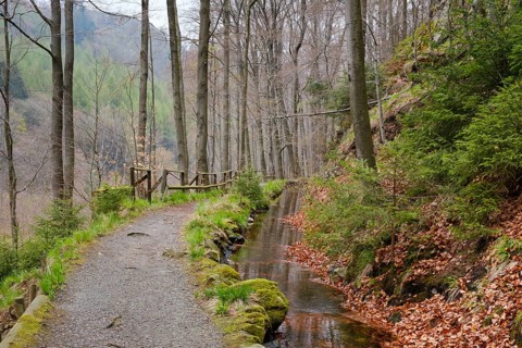 Path through the Radau Valley