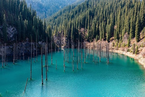 Aerial of the Kaindy lake with its dead trees