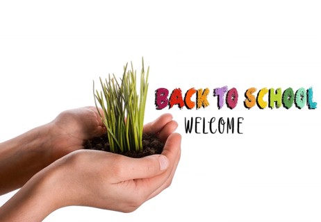 Back to school wording as education