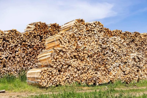 Firewood
