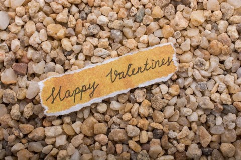 Valentine's day wording on torn paper as Love concept