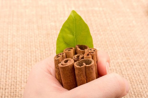 Bundle of cinnamon sticks on a linen canvas background
