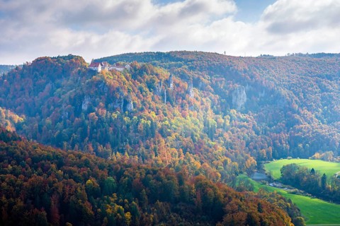 Wildenstein Castle
