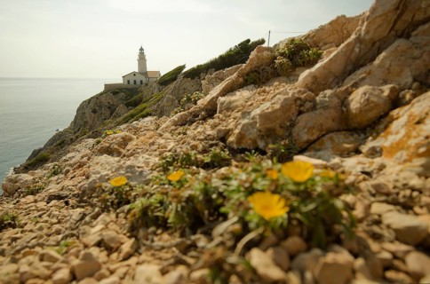 Cala Ratjada