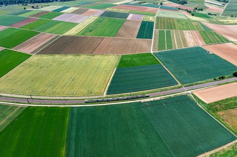 Landscape at the Neckar loop