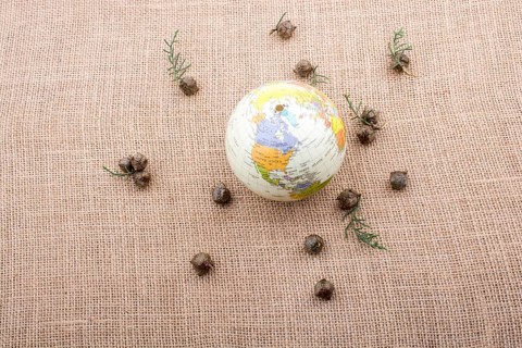 Globe is placed on canvas with cones around