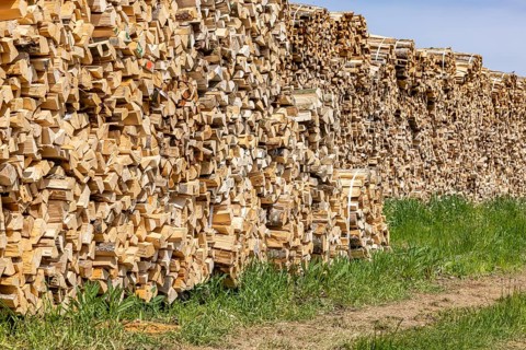 Firewood