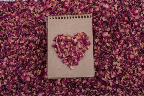 Dry rose petals form a heart shape on a spiral notebook