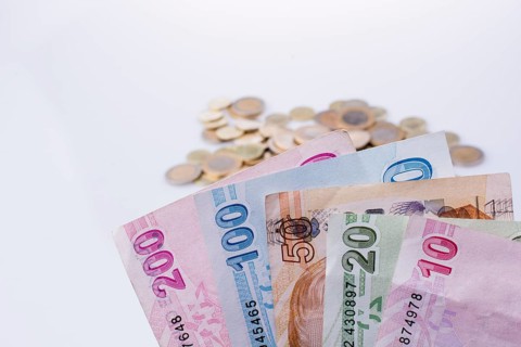 Turkish Lira coins and banknotes side by side on white background