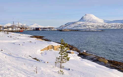 Coastal Landscape