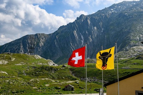 Left Swiss national flag National flag with Swiss cross Right flag Flag of Canton Uri with bull's head Head of bull with nose ring