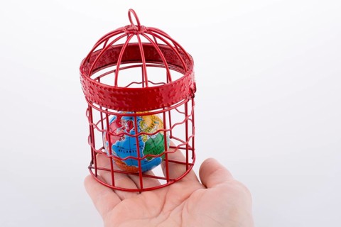 Small globe trapped in a red birdcage