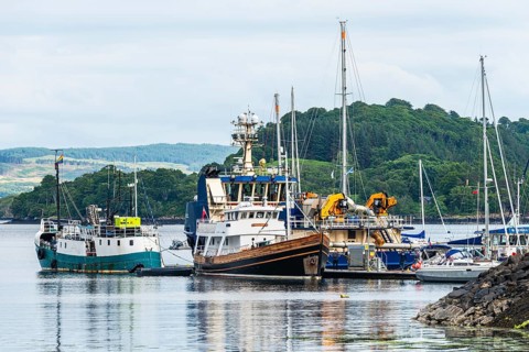 Boats in Tobermory