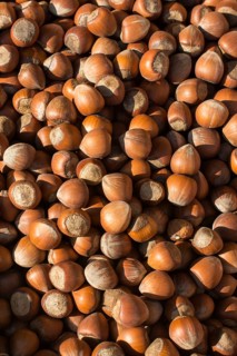 Dried unshelled hazelnuts seeds of Whole nuts as background