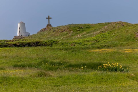 Goleudy TÅµr Mawr Lighthouse